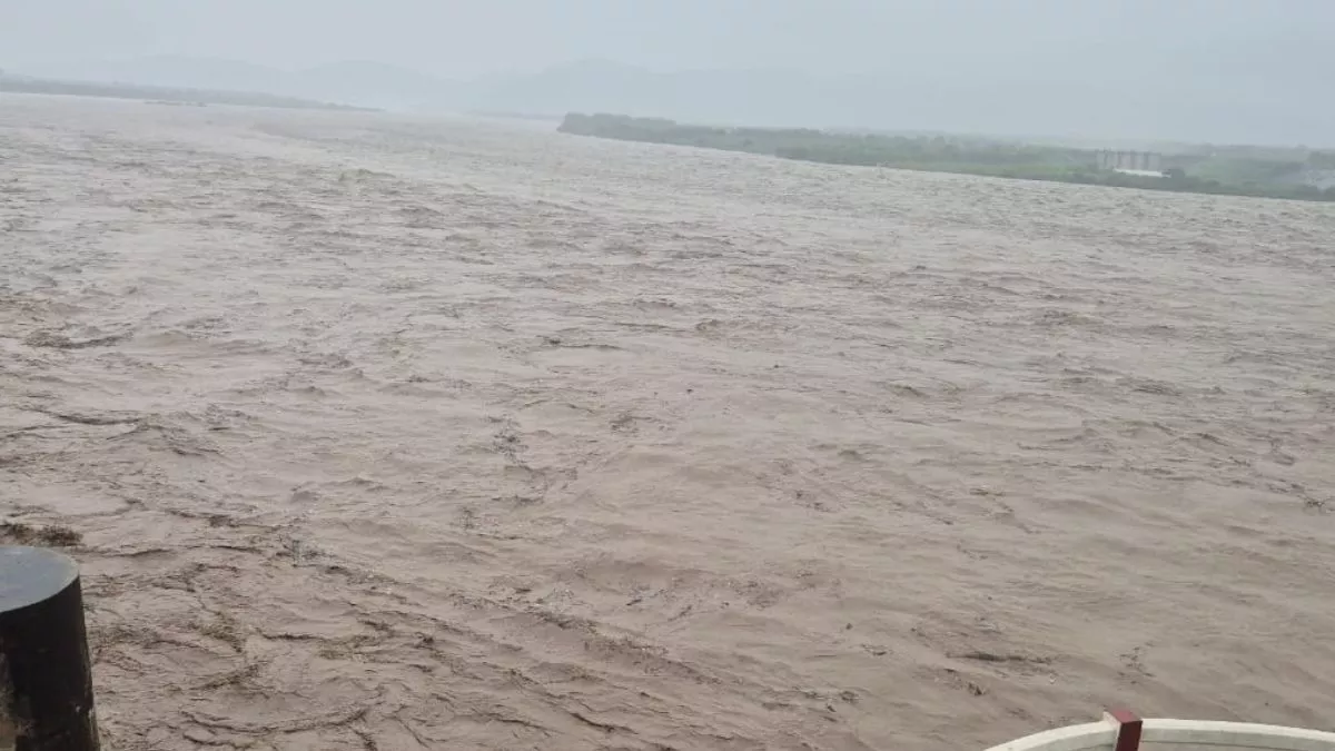 हरियाणा में भारी बारिश के बीच हाई अलर्ट, नदियां उफान पर; अधिकारियों की छुट्टियां रद्द