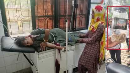 संभल में सोती किशोरी को कोबरा ने डसा, अस्पताल में भर्ती
